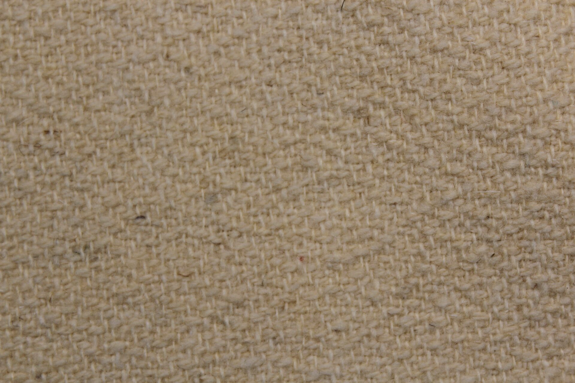 LANA 8 – Image 2